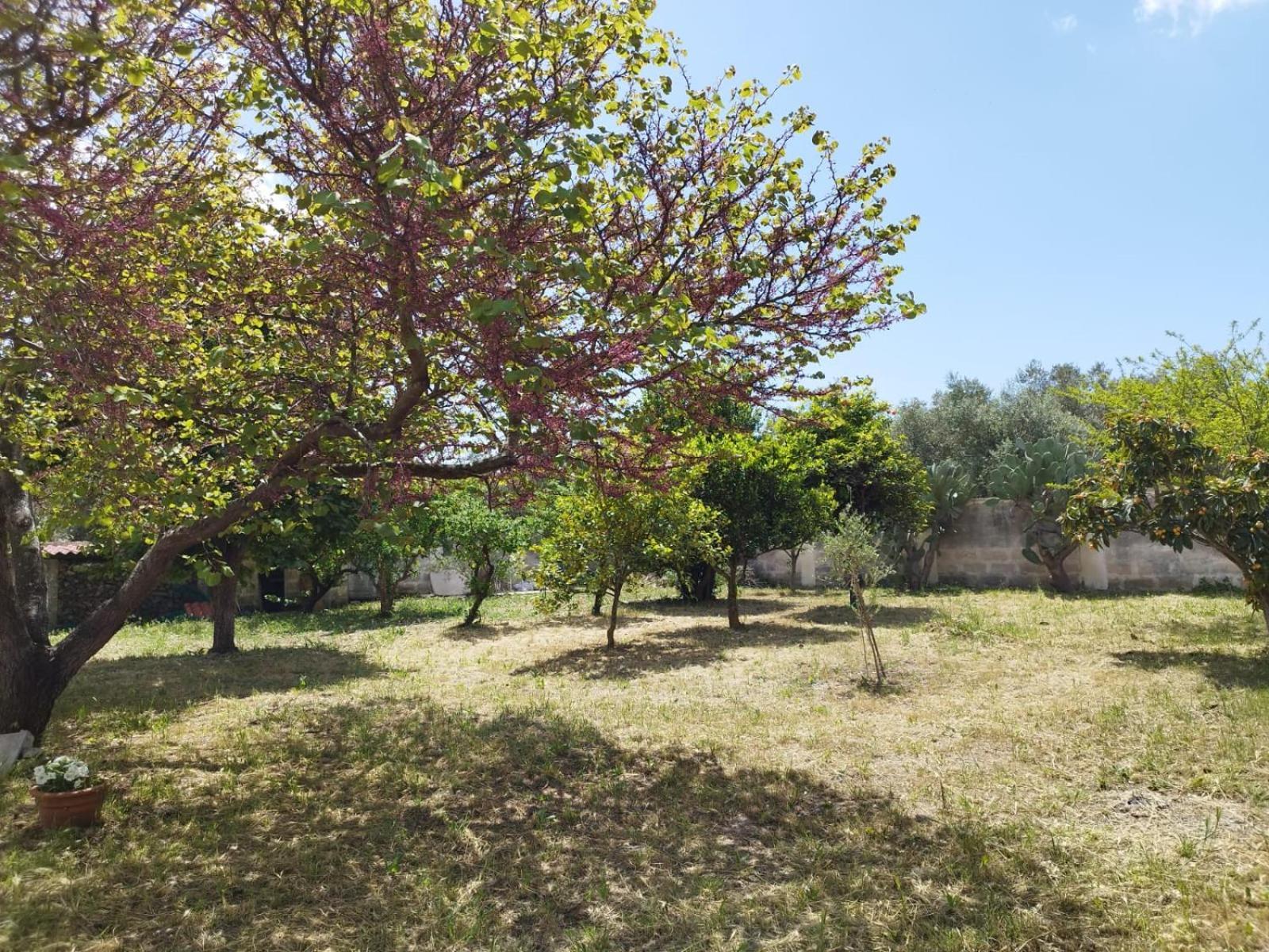 Litta Villa Collepasso Exterior photo